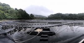 122cc太阳集成游戏(中国)有限公司官网